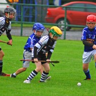 U10 Hurling 2015