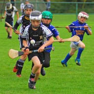 U10 Hurling 2015