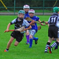 U10 Hurling 2015