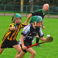 U10 Hurling 2015