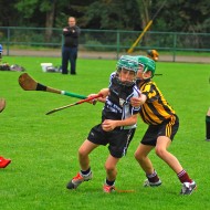 U10 Hurling 2015