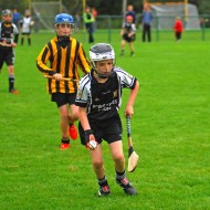 U10 Hurling 2015