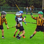 U10 Hurling 2015