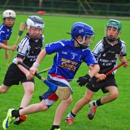 U10 Hurling 2015