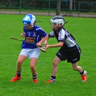 U10 Hurling 2015