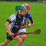 U10 Hurling 2015