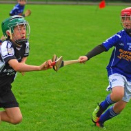 U10 Hurling 2015