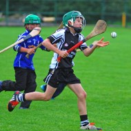 U10 Hurling 2015