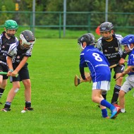 U10 Hurling 2015