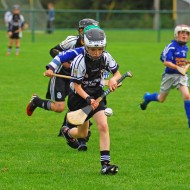 U10 Hurling 2015