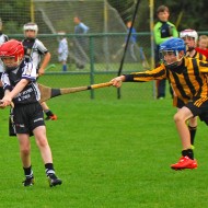 U10 Hurling 2015