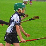 U10 Hurling 2015