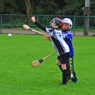 U10 Hurling 2015