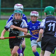 U10 Hurling 2015