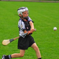 U10 Hurling 2015