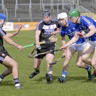 2018_Pearses_Ardrahan_09