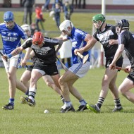 2018_Pearses_Ardrahan_19