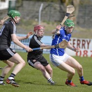 2018_Pearses_Ardrahan_03