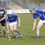 2018_Pearses_Ardrahan_08