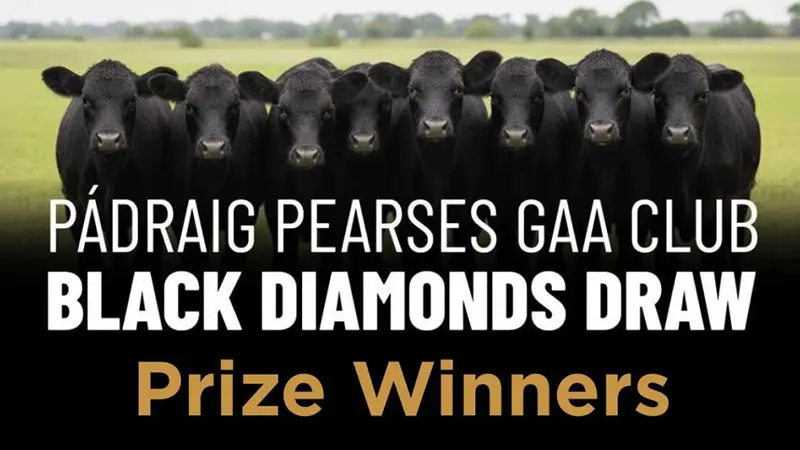 Black Angus Draw Prize Winners