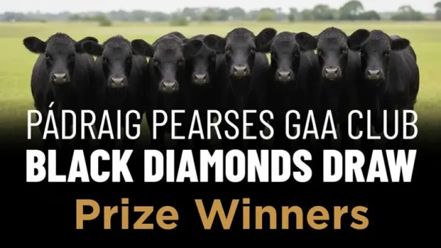 Black Angus Draw Prize Winners